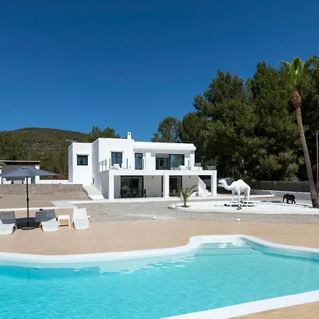 Palmeras Sant Jordi de ses Salines