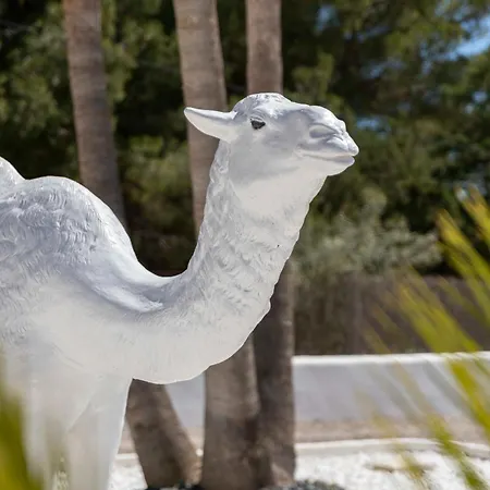 Nivaria * Sant Jordi de ses Salines